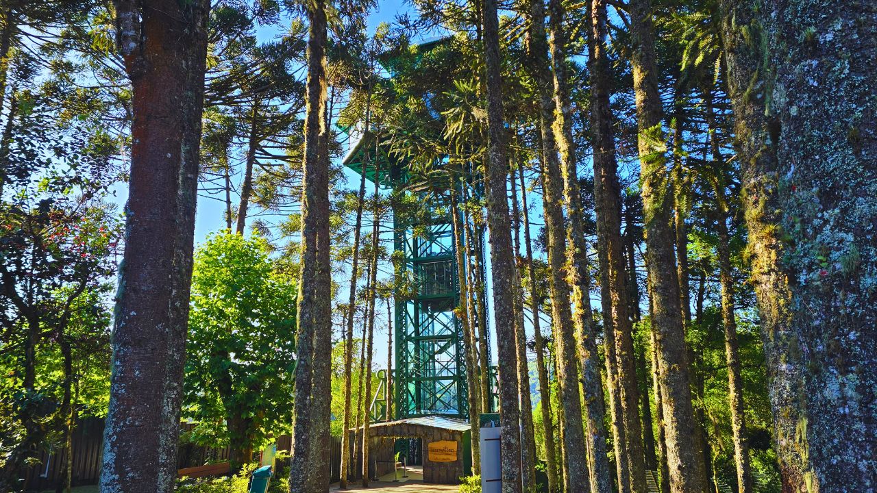 Parque do Caracol e Castelinho Caracol: atrações, trilhas e dicas 2 observatorio parque caracol • Rota dos Viajantes