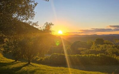 Olivas de Gramado: guia completo com valores e opinião sincera