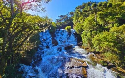 Parque do Caracol e Castelinho Caracol: atrações, trilhas e dicas