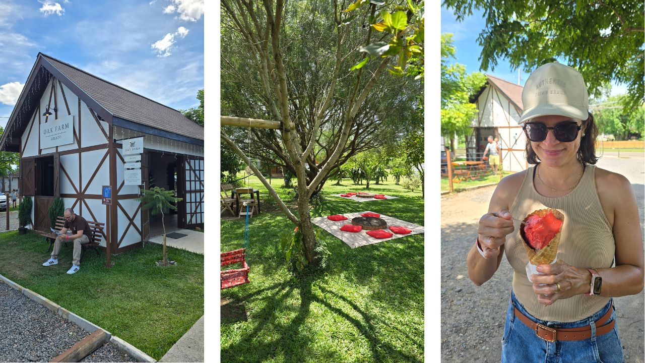 Colonia Witmarsum: roteiro completo para um bate e volta de Curitiba 4 atrativos witmarsum • Rota dos Viajantes