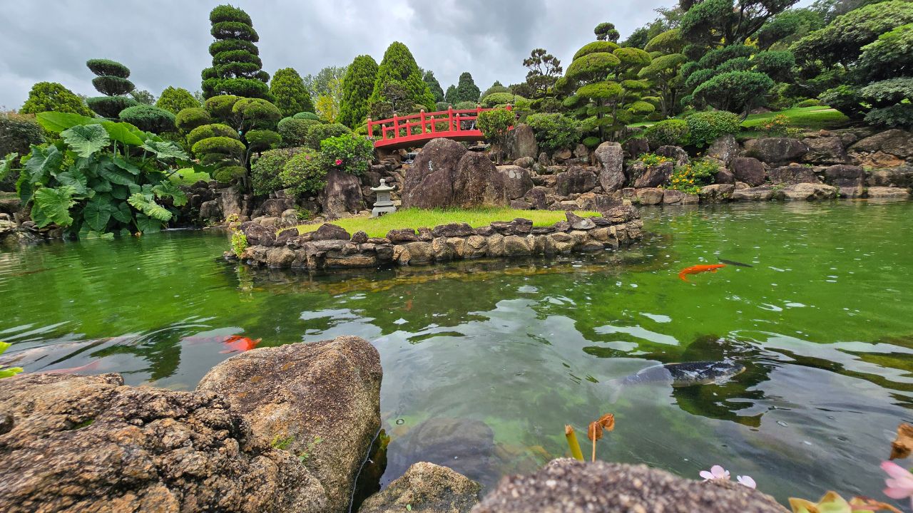 jardim japones maeda &bull; Rota dos Viajantes