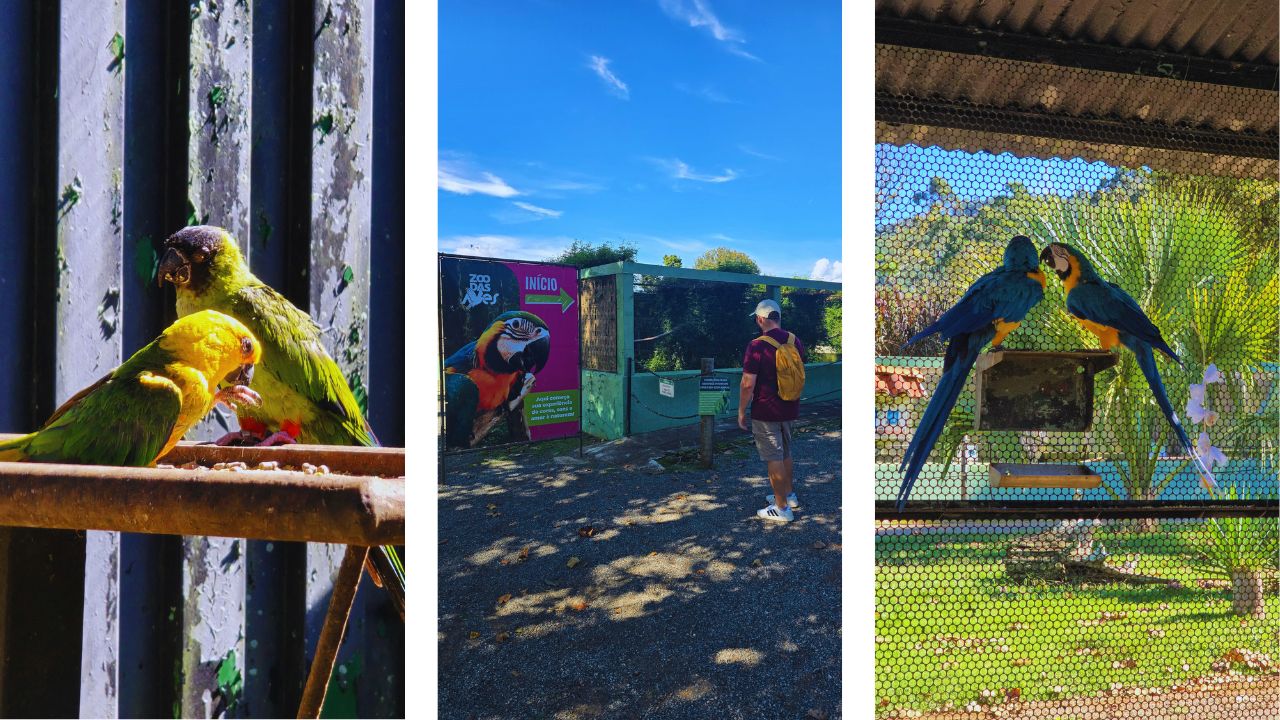 zoo das aves pocos de caldas &bull; Rota dos Viajantes