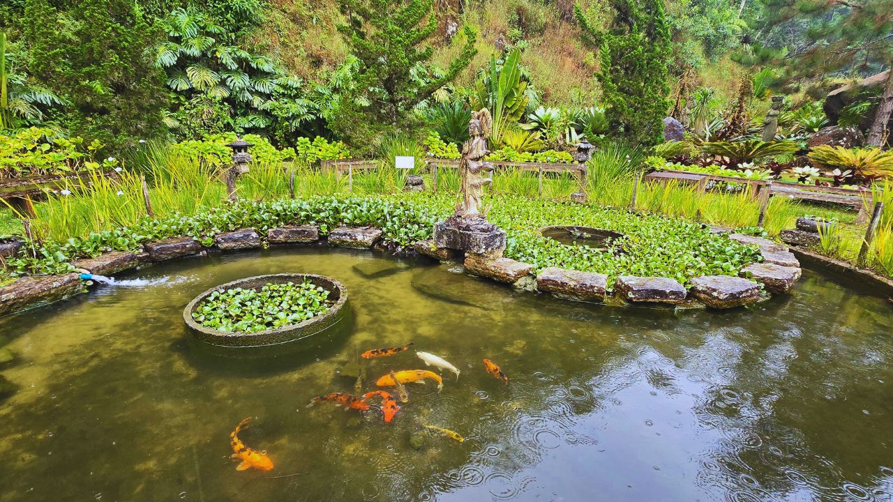 Vale do Amor em Petrópolis: vale a pena? Guia completo 3 lago vale do amor petropolis • Rota dos Viajantes