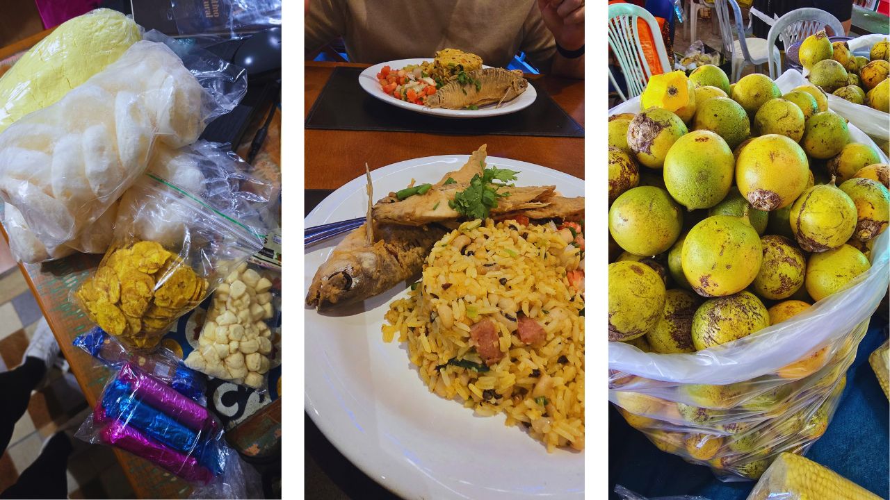 Guia Completo Manaus: o que fazer, onde comer e como aproveitar de verdade 11 delicias manaus • Rota dos Viajantes