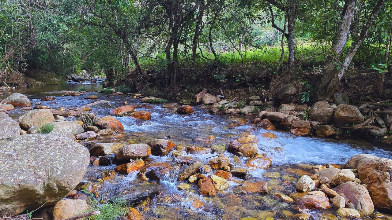 tio zezico Serra da Canastra sem 4x4 1 &bull; Rota dos Viajantes