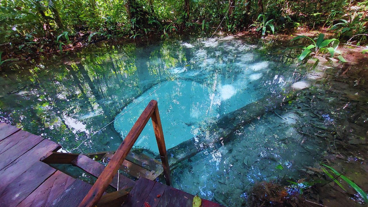 Presidente Figueiredo: Bate e volta de Manaus 7 fervedouro presidente figueiredo • Rota dos Viajantes